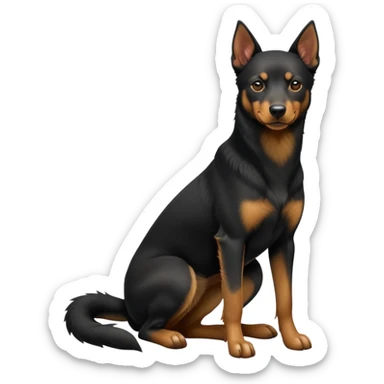 cinematic-[australian kelpie]-realistic-full-body-sitting-emoji,-tail-resting-loosely-beside-its-paws,-head-tilted-dramatically, -sleek-[Black and tan]-fur,-simplified-yet-realistic-focused-features,-highly-detailed,-glowing-with-an-almost-sarcastic-glow sticker