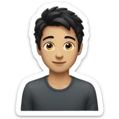 boy-smart-kind-browneyes-blackhair-sideparted sticker