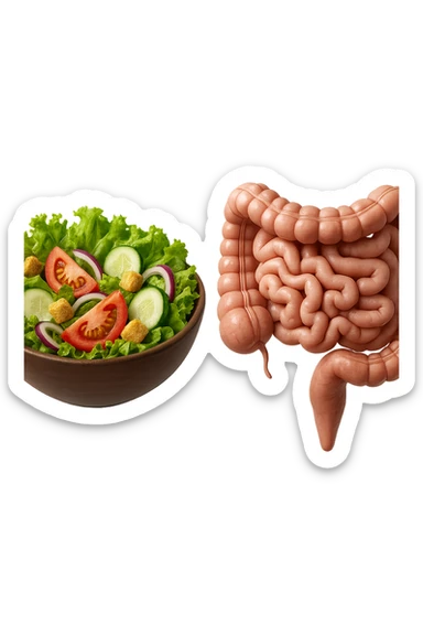 bowl di insalata fluttua in aria insieme ad intestino umano anatomico realistico, IPERREALISTICO 4K sticker
