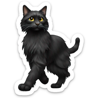 Black maincoon walking sticker