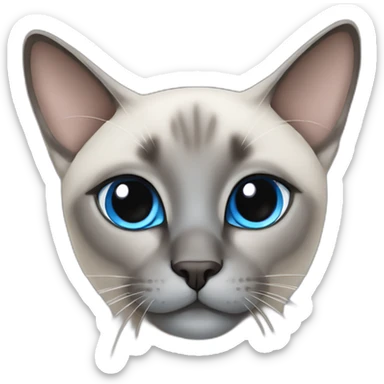 cute grey siamese cat with blue cross-eyed sticker