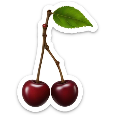 two burgundy cherries on black stem sticker