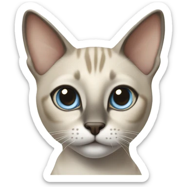 Thai breed adult cat with a light cream-brown body, dark gray nose and face, ears, and paws. sharp ears, and striking light blue eyes  sticker