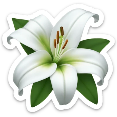 white lily flower  sticker
