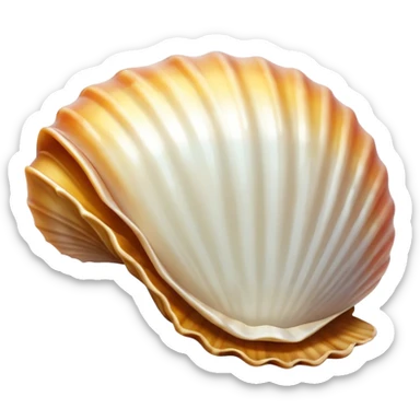 Sea shell sticker