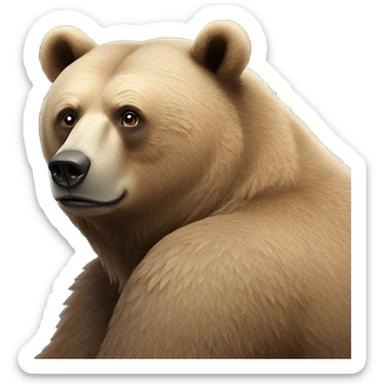 the bear is watching sticker