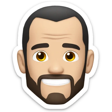 Cm punk sticker