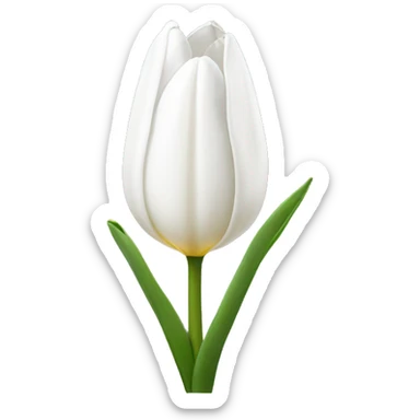 White tulip sticker