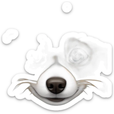 Pomeranian whit blue eyes and White fur with orange sticker