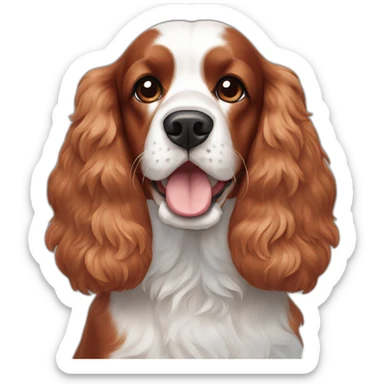 Red and white cocker spaniel sticker