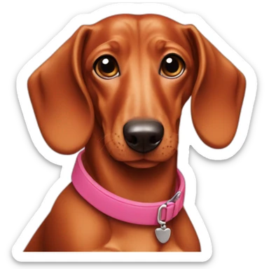 dachshund-red coat pink nose sticker
