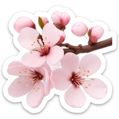Cherry blossom sticker