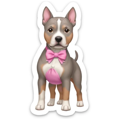 Gray amstaff with a pink bow sticker