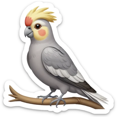 cockatiel bird chilling  sticker