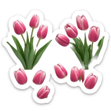 flowers tulp  sticker