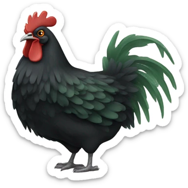 One black chicken with green mold sticker