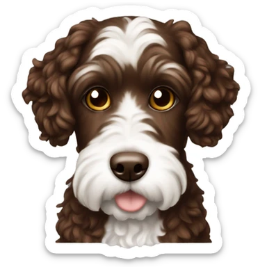 Chocolate and white cockapoo sticker