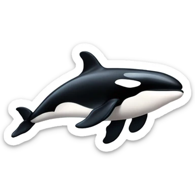 killer whale sticker