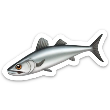 europian anchovy sticker