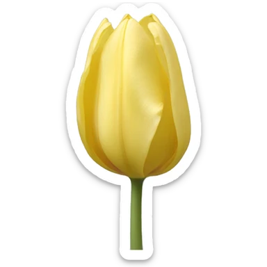 Single pastel yellow tulip sticker