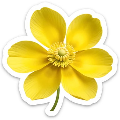 five-leaved yellow anemone sticker