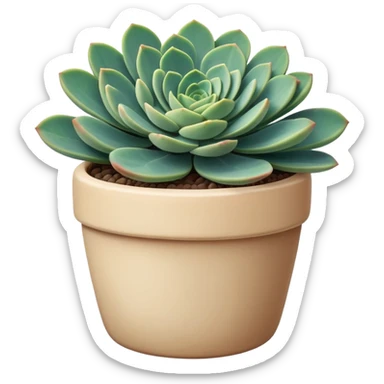 Sedum Pachyphyllum succulent plant with blue-green thick leaves in a beige ceramic pot sticker