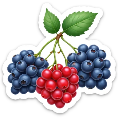 wild berries sticker