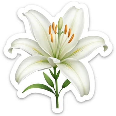 White lilyum flower sticker