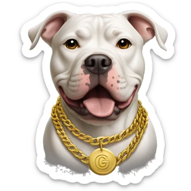 A dog pitbull with a aggressive face and wearing big gold chain on that says G sticker