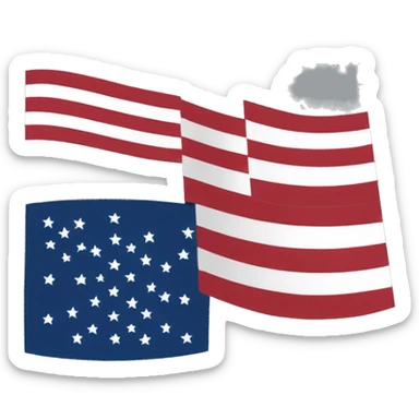 Half brail nd half USA flag sticker