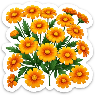 Marigold flowers sticker