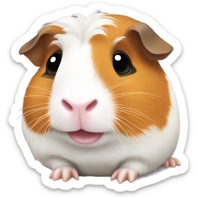 funny guinea pig sticker