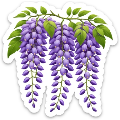 wisteria vine sticker