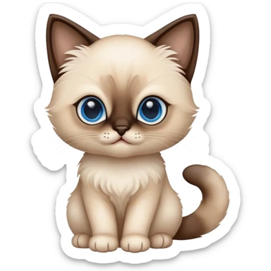 Siamese  kitten sticker