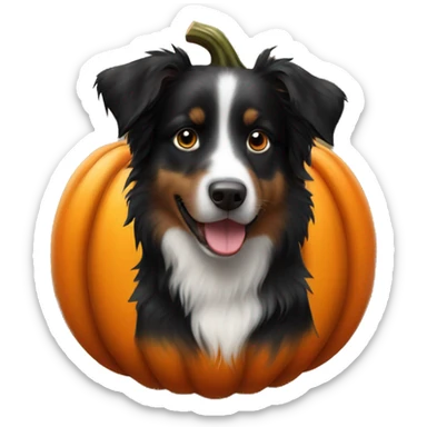 Small black australian shepherd dog in a pumpkin sticker