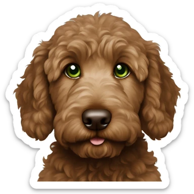 Darker brown goldendoodle puppy with green eyes sticker