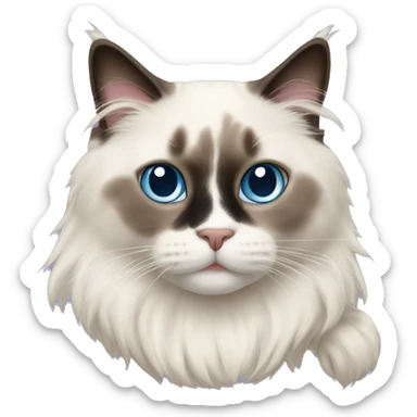 Ragdoll cat sticker