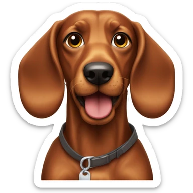 Teckel con pelo largo sticker