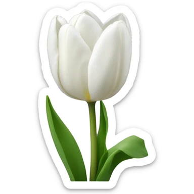 White tulips sticker