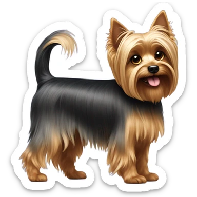 Yorkshire Terrier with a Tail sticker