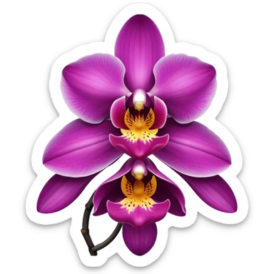 orchid, black sticker