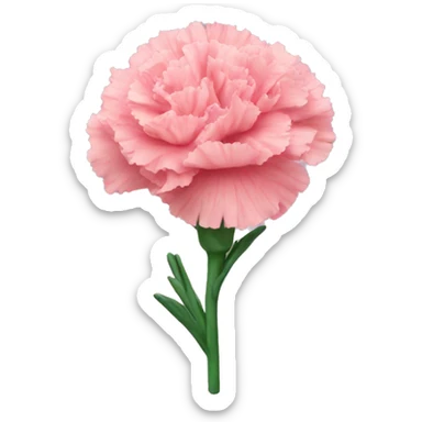 carnation sticker
