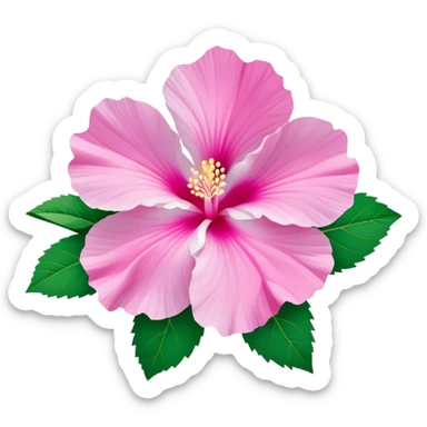 Cinematic Realistic image of a Mugunghwa flower (Rose of Sharon), rendered with delicate petal textures and vibrant pink hues, set against a minimalist background with gentle, diffused lighting that highlights its national significance sticker