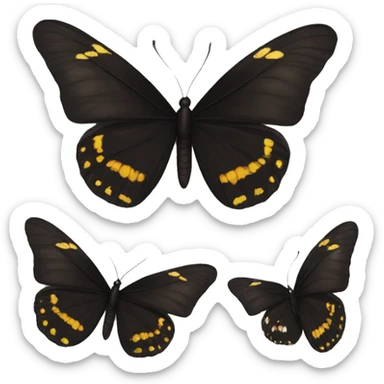 black butterfly sticker