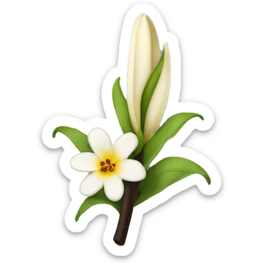  natural vanilla beans with flower sticker
