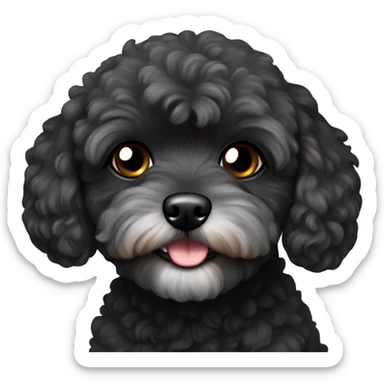 Black maltipoo sticker