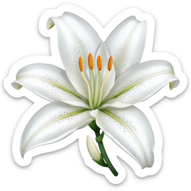 A cute gorgeous beautiful shiny glittery shimmering soft smooth hyperrealistic white Lily flower Corolla blossom bloom (without the stem) sticker