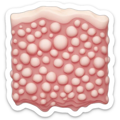 Epidermis Dermis subcutaneous fatty tissue sticker