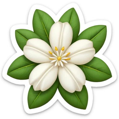dry indian jasmine flower without leaf in emoji format  sticker