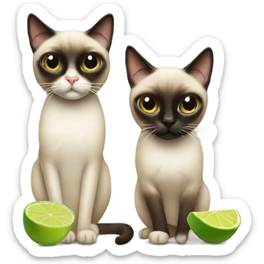 Siamese cat and Margarita sticker
